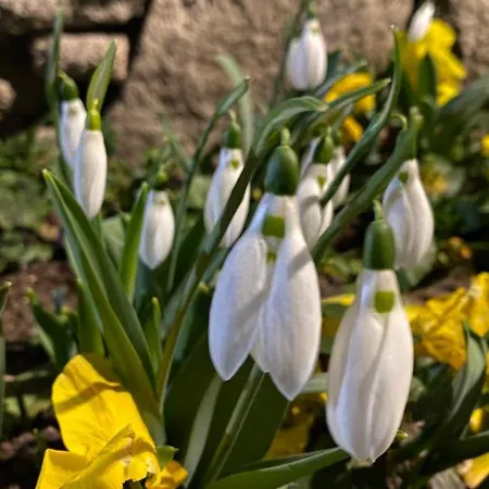 Гостевой дом къща стария град 3*