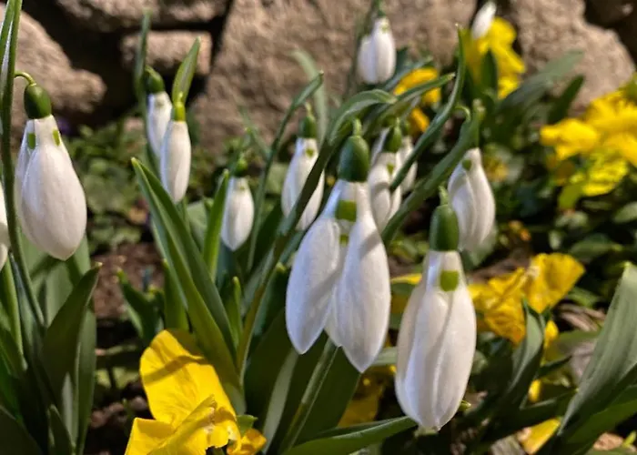 Maison d'hôtes къща стария град 3*